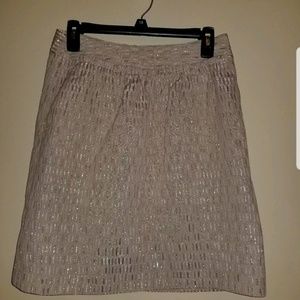 💃🏾Skirt SALE Talbots 2P Metallic Skirt